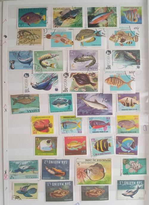 IDEAL ALBUM 8 DOUBE PAGES MOSTLY FISH RELATED FDCS AND STAMPS ALBUM INCLUDED