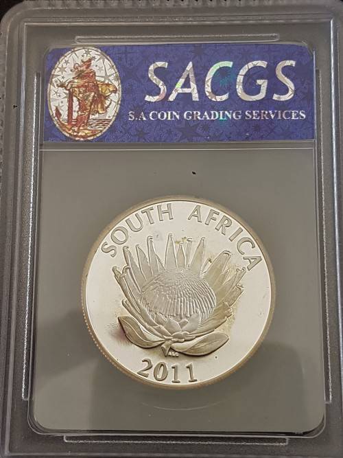 2011 PF68 ULTRA CAMEO PROTEA GRADED