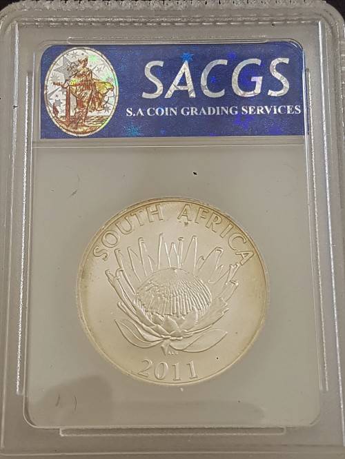 2011 MS64 MATTE PROTEA GRADED