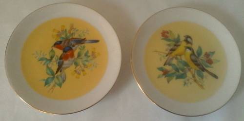 Two Genuine Imari Small Wall Plates (Birds with yellow background)