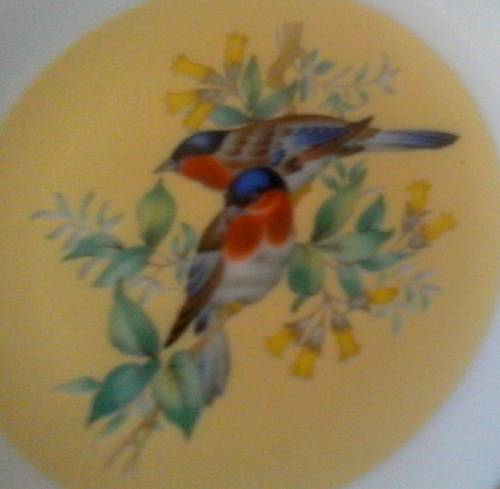 Two Genuine Imari Small Wall Plates (Birds with yellow background)