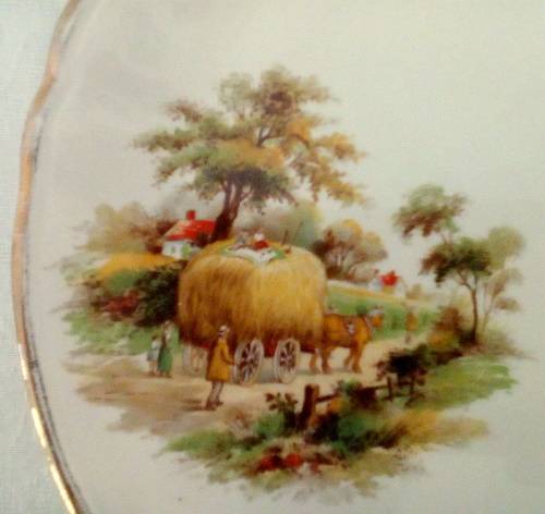 Vintage Alfred Meakin Wonderful display plate