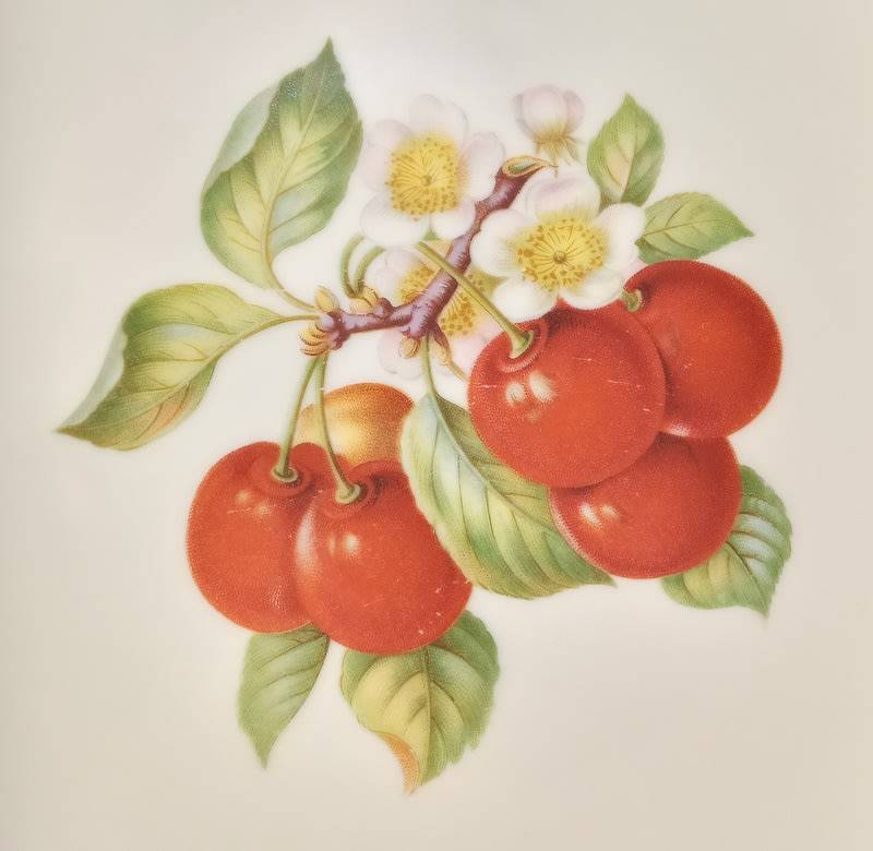 Vintage Bavaria Germany Set of 6 Fruit Plates Hutschenreuther 1946 -1948