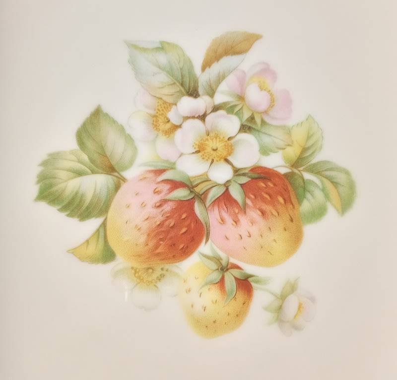 Vintage Bavaria Germany Set of 6 Fruit Plates Hutschenreuther 1946 -1948