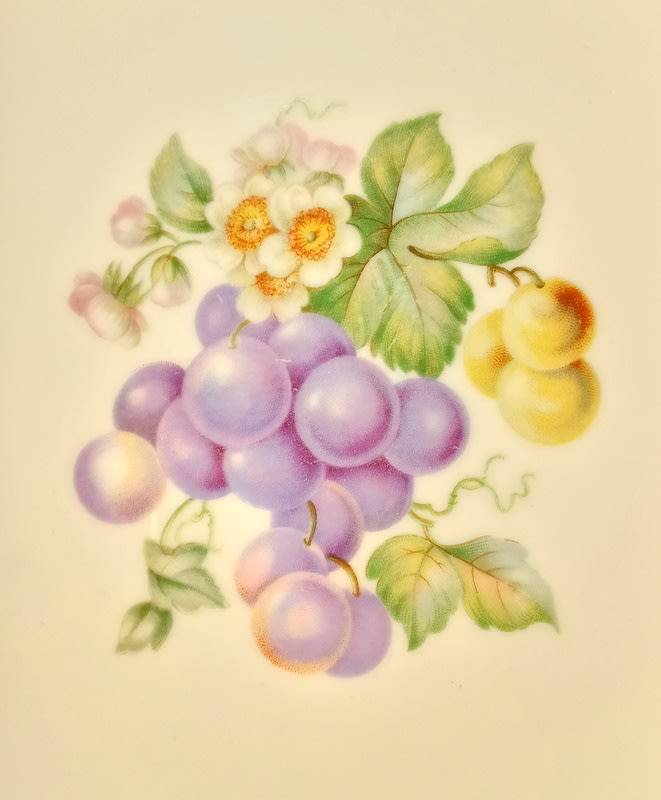 Vintage Bavaria Germany Set of 6 Fruit Plates Hutschenreuther 1946 -1948