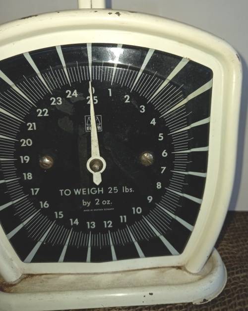 Vintage 25 lbs  EFFEM Kitchen Scale in working condition