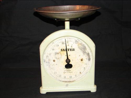 Salter Scale