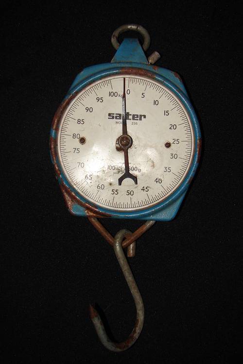 Salter Hanging Scale - Model 235 (100kg x 500gram)-Made in England-working order