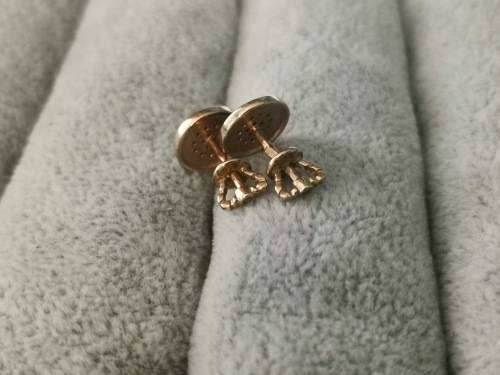 14ct Gold BVLCARY Earrings