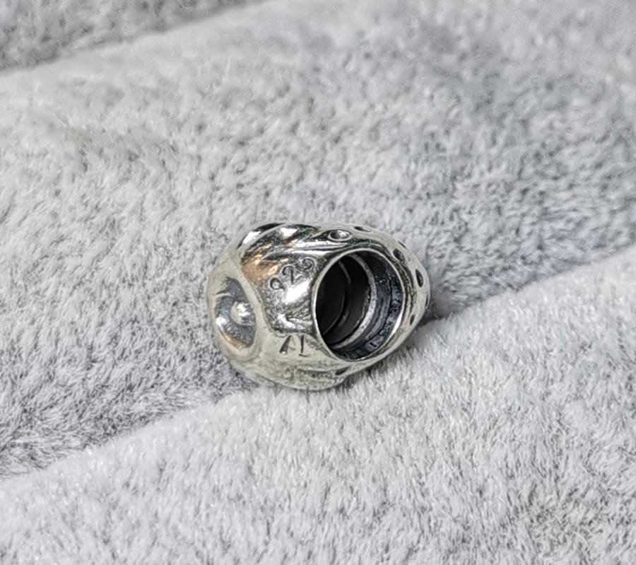 Pandora Strawberry Charm