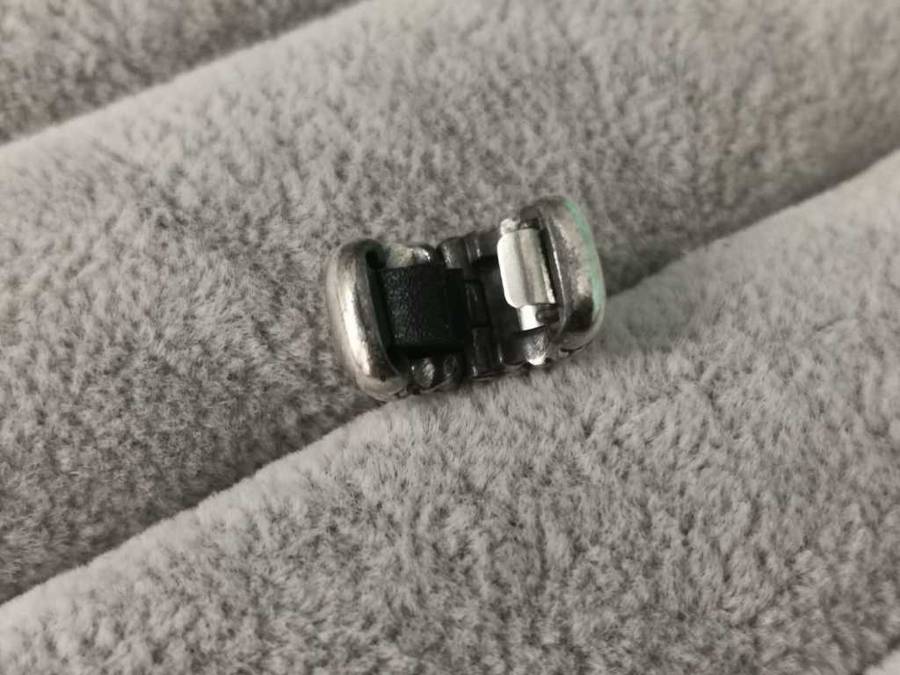 Pandora Clip Charm