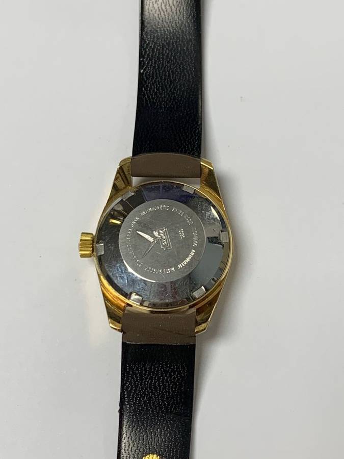 Camy Geneve 25 Jewels Watch
