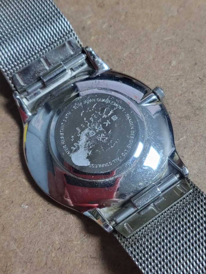 Skagen Denmark Steel Watch