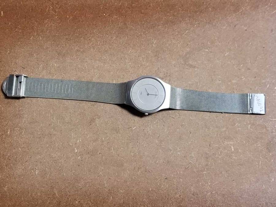 Skagen Denmark Steel Watch