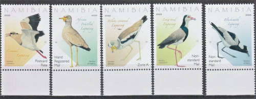 NAMIBIA 2022/10/01 Lapwing Birds - UMM -**Nice set**