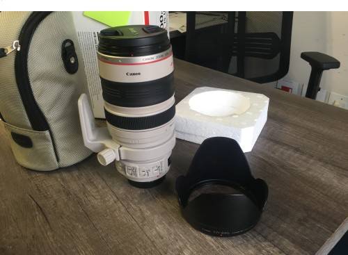 Canon EF 28-300mm 3.5-5.6L IS USM Lens