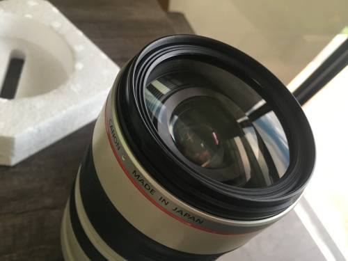 Canon EF 28-300mm 3.5-5.6L IS USM Lens