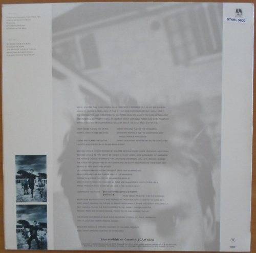 Sting - The Dream of the Blue Turtles