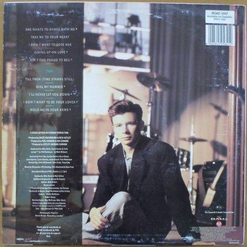 Rick Astley - Hold Me in Your Arms