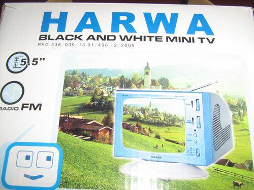 PORTABLE TV WITH RADIO FM