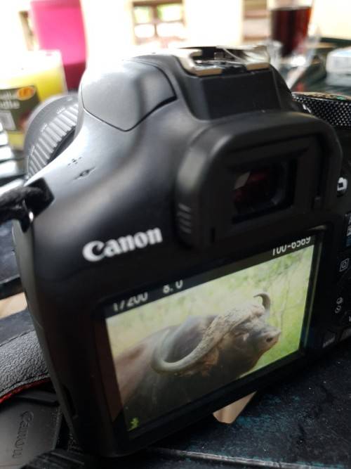 Very good condition rarely used canon 1300D with 18-55 mm lens, canon bag WIFI and more