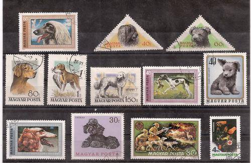DOGS FROM HUNGARY.