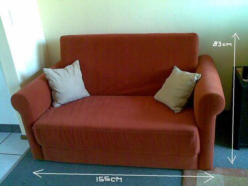 2-Seater Sleeper Couch (Priced to go!)