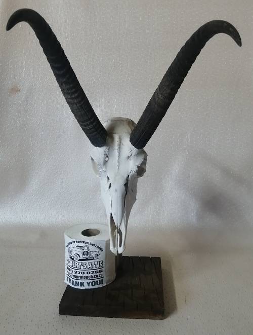 Very large animal skull display stand
