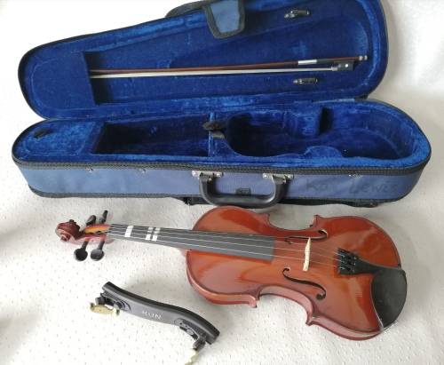 Stunning!! Richmann 1/2 violin Complete bundle!! (Very good condition)