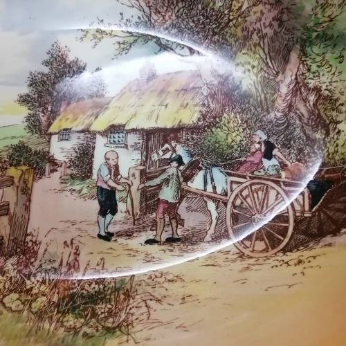 Magnificent Large Original Royal Doulton Seriesware Plate 280 mm x 200mm