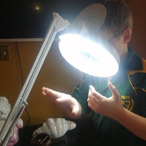 VERYLARGE RIBALTA MAGNIFYING LAMP (WITH STAND) - LED - LIGHTS (MINT COBDITION)