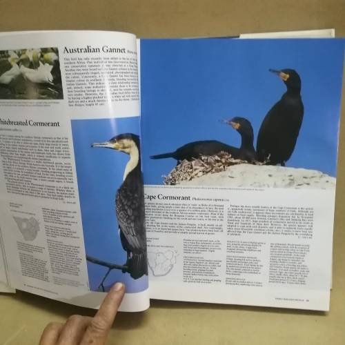 Complete Book of Southern African Birds Hardcover  January 1, 1989