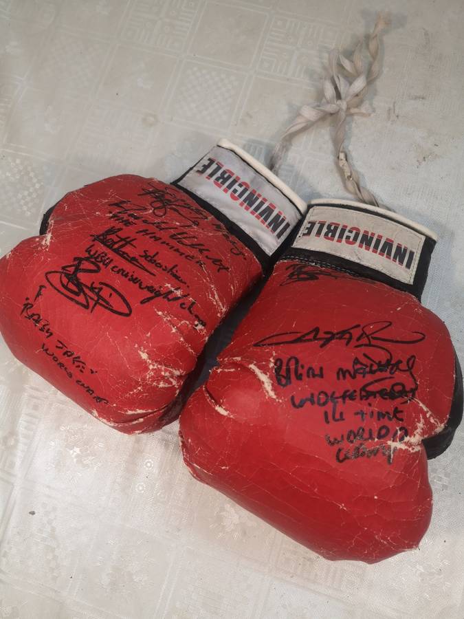 Vintage Autographed Boxing Gloves