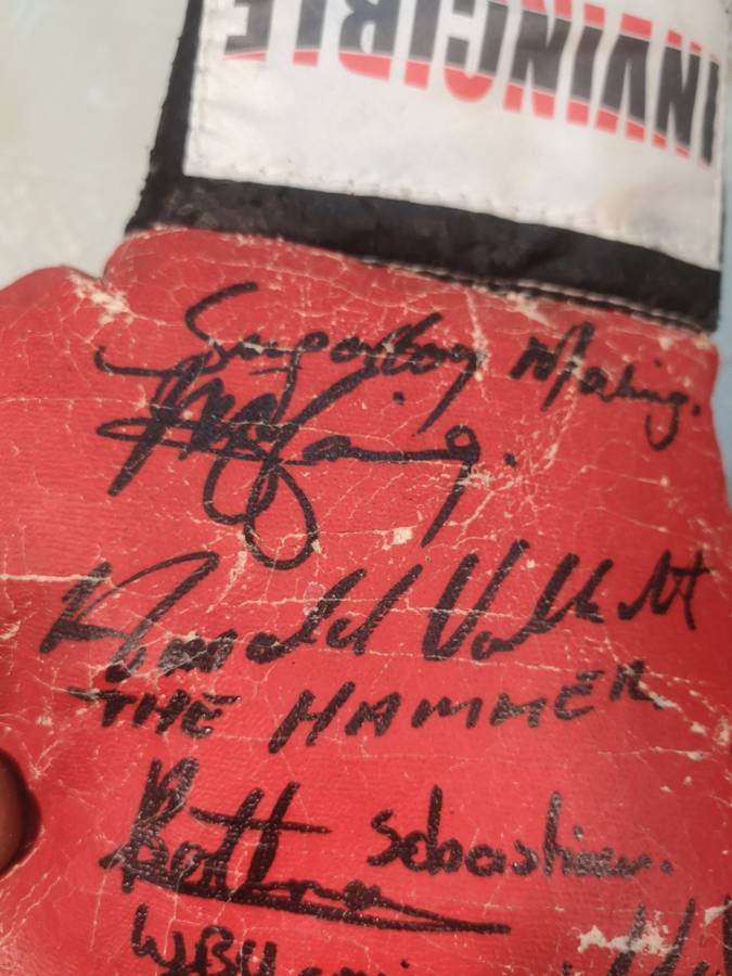 Vintage Autographed Boxing Gloves
