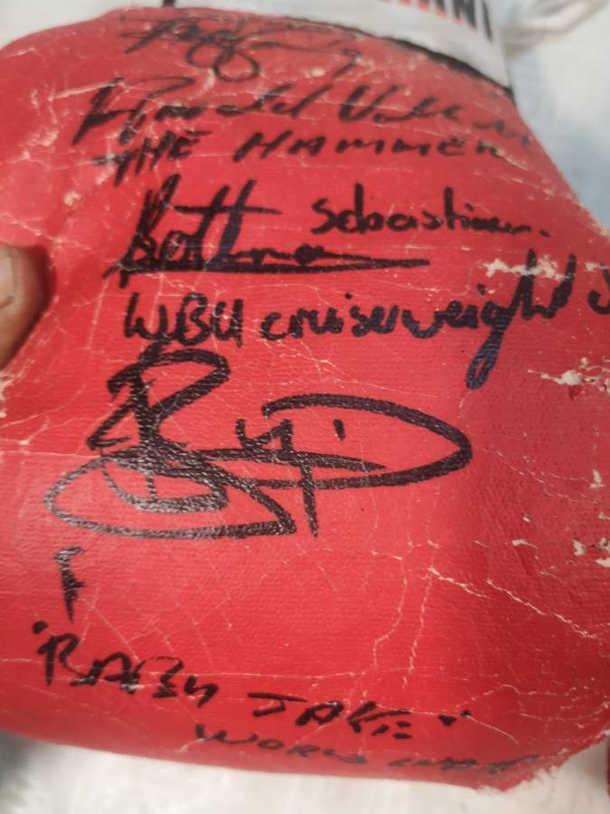 Vintage Autographed Boxing Gloves
