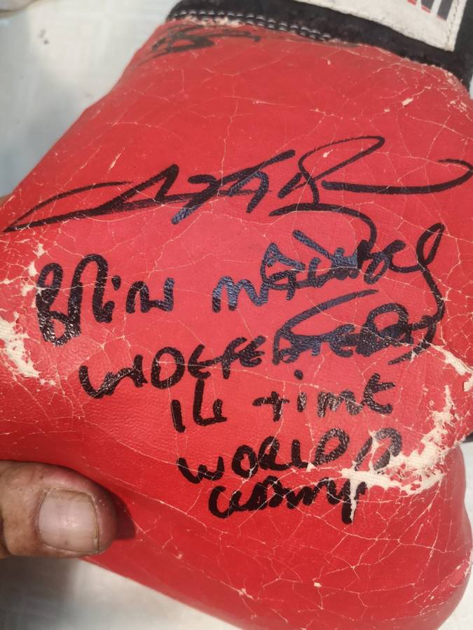 Vintage Autographed Boxing Gloves