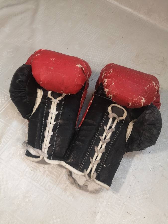 Vintage Autographed Boxing Gloves