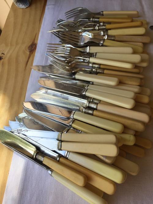 BONE HANDLED Fish knives snd forksALL MARKED TO R20