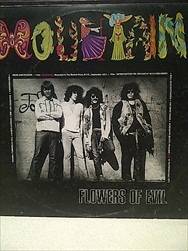 Flowers of Evil : Mountain : LP in VG Condition