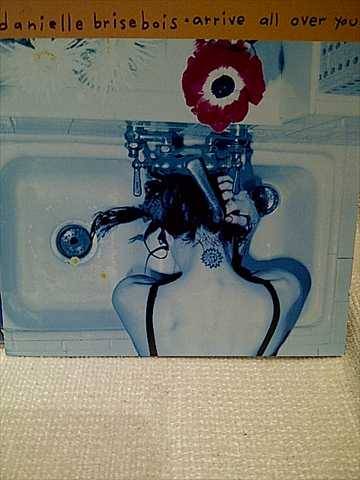 Danielle BriseBois : Arrive All Over You : CD