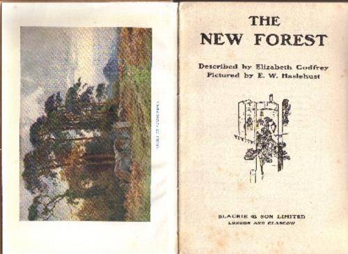 The New Forest