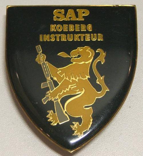 SAP. KOEBERG INSTRUKTEUR  SHOULDER FLASH 3 PINS