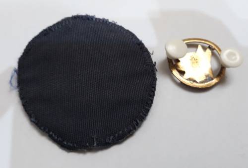 SAP Dog Unit Badge + SAP Cloth Badge Old Coat of Arms  --- One Bid For Bothe Badges ---