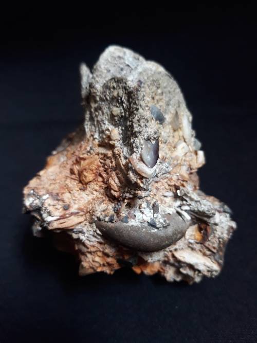 Coin Cluster /  Conglomerate Of Silver Rider Coins ** Retrieved from Shipwreck Meerensteijn Q9