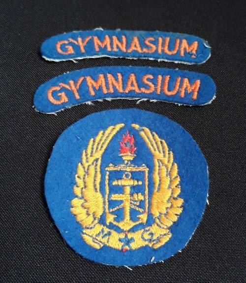 SA Army  Military Gymnasium Cloth Badges        D1