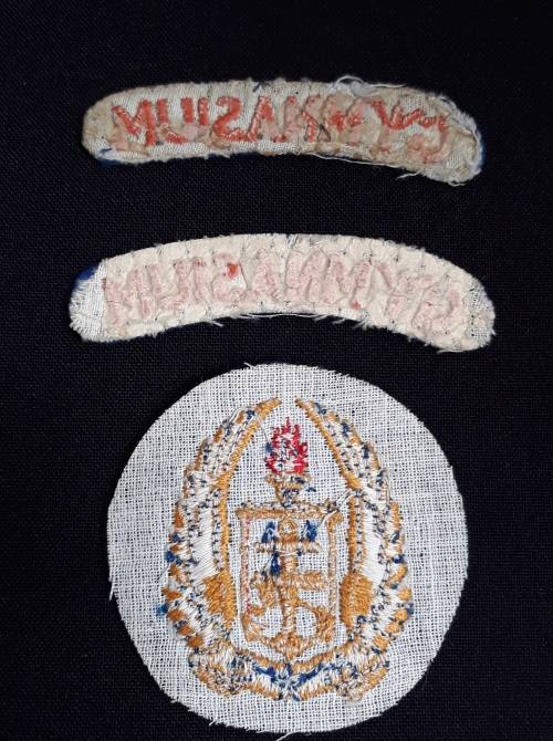 SA Army  Military Gymnasium Cloth Badges        D1