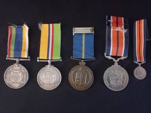 Father & Grandson Medals - DTD,ABO, Troue Diens 10Years-Grandson General Service Medal + Miniature