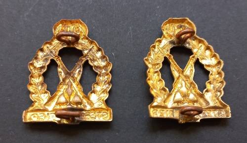 Regiment Tobie Muller Collar Badges STERK EN FIER               F17