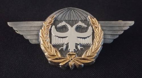 SAAF Task Force Qualification Badge ( Bi-Metal )                  F22