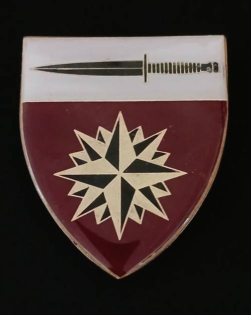 Spesiale Magteskool - Special Forces School Shoulder Flash                               R9